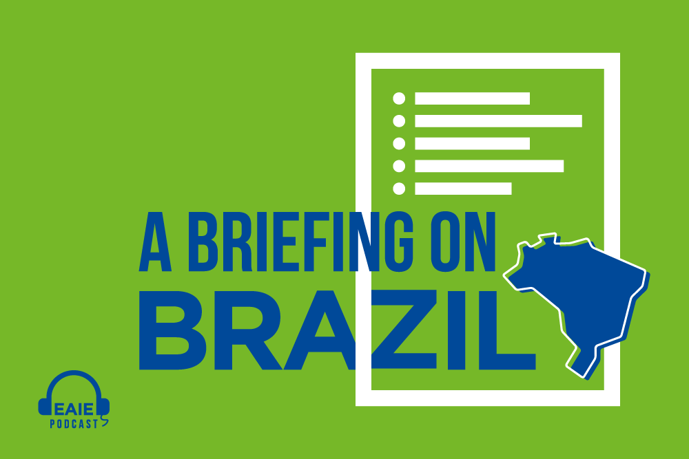 Fernanda Leal & Marcelo Knobel: A briefing on Brazil